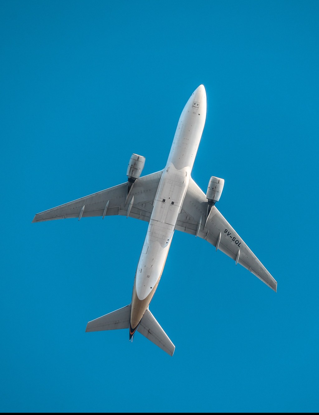 What To Do With Life Calling Dreams & Prophecies: A Few Required Active Steps Plus Video