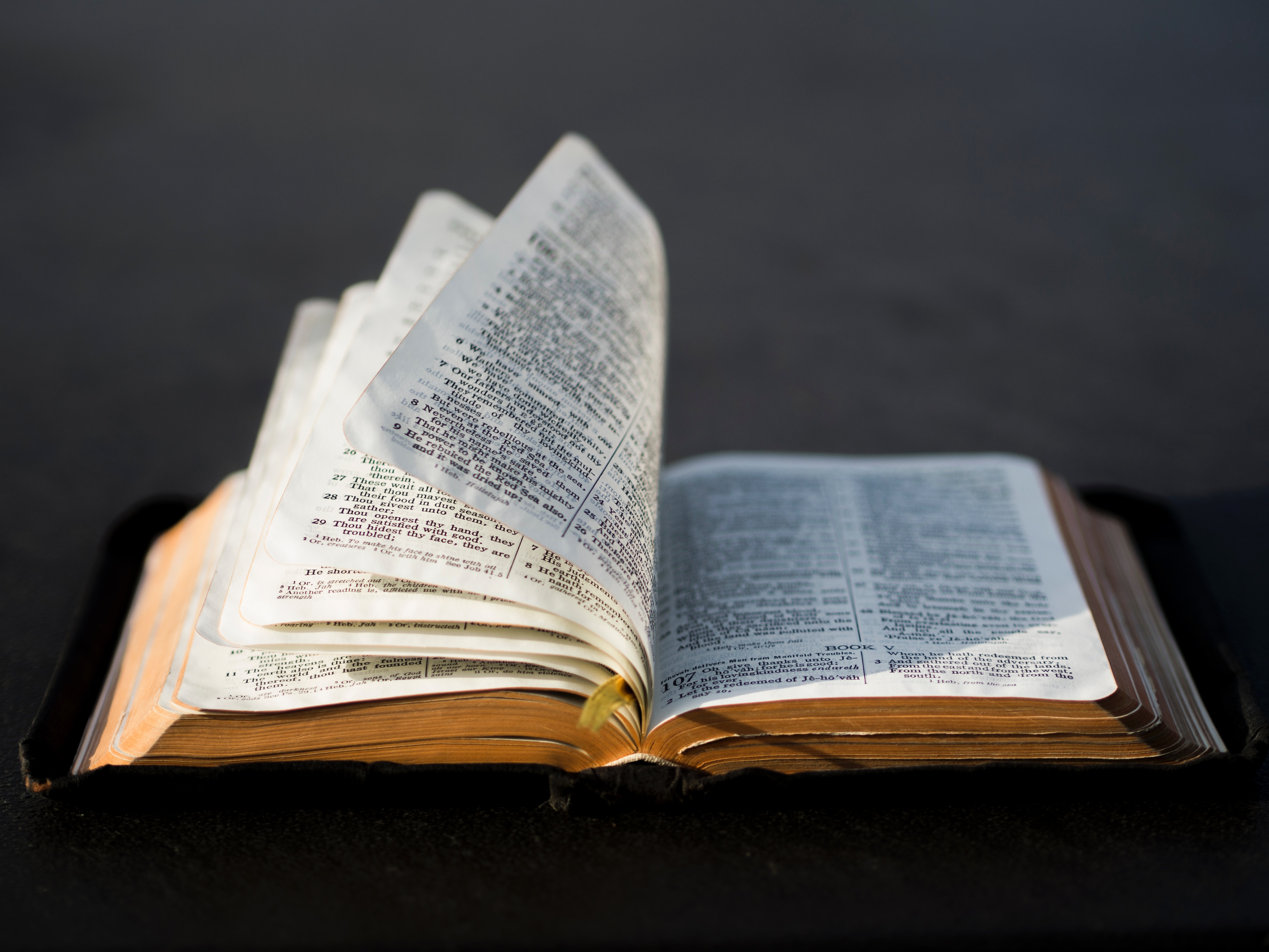 Finding The Meaning Of A Dream In A Bible Passage – Personal Confirmation & Answer